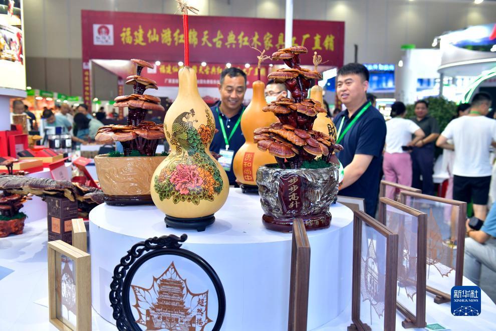 八达国际网址是多少